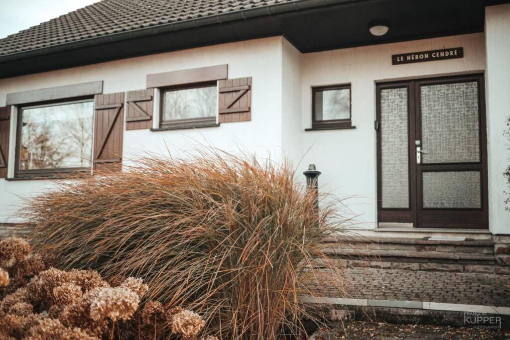 Le Heron 28Pers, Malmedy- Home Cinema, Balneo, Sauna, Jardin Eksteriør bilde